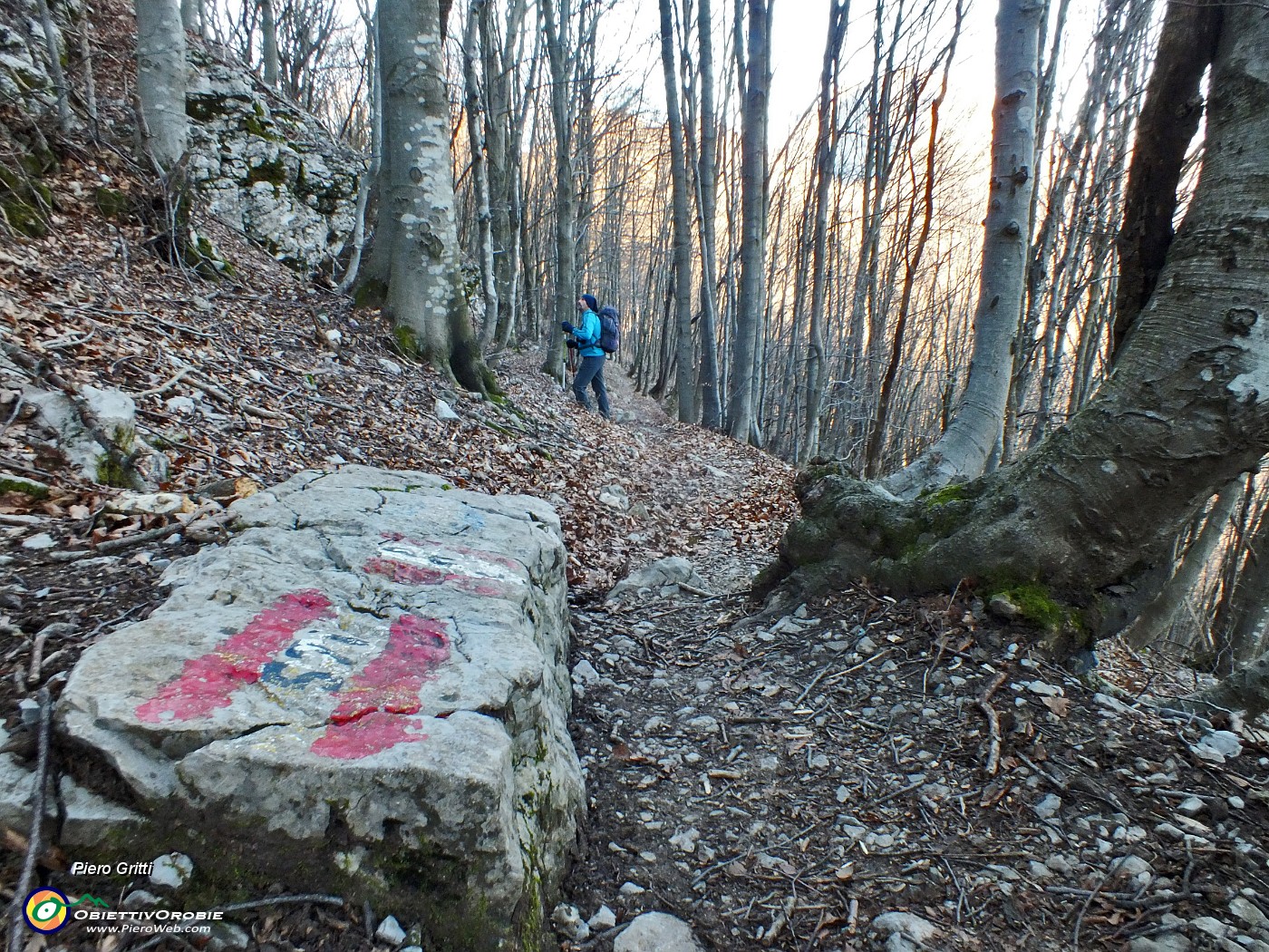 14 Sul sentiero 571.JPG